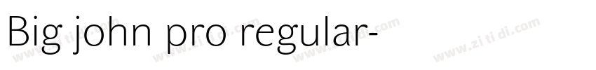 Big john pro regular字体转换